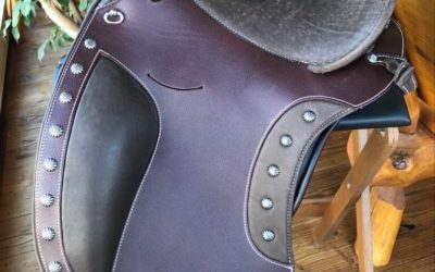 Adjustable saddles; choosing “The One”