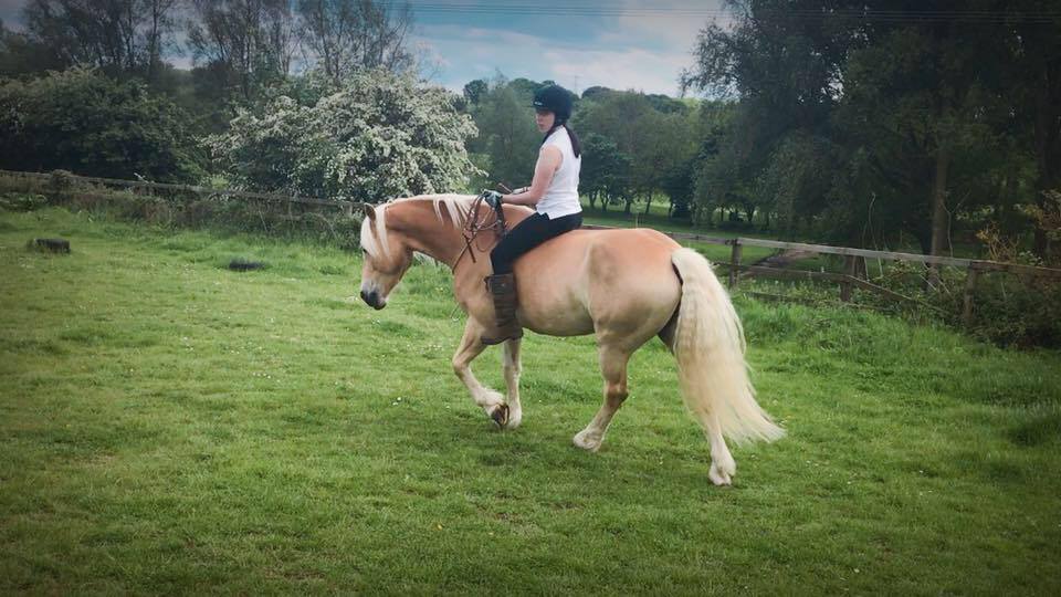 You want natural horsemanship? This isn’t for you!