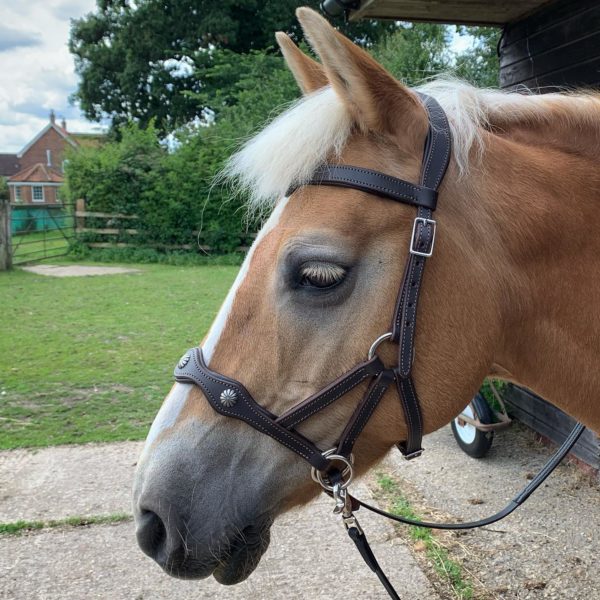Soft Feel Side Pull Deluxe Bitless Bridle - Image 4