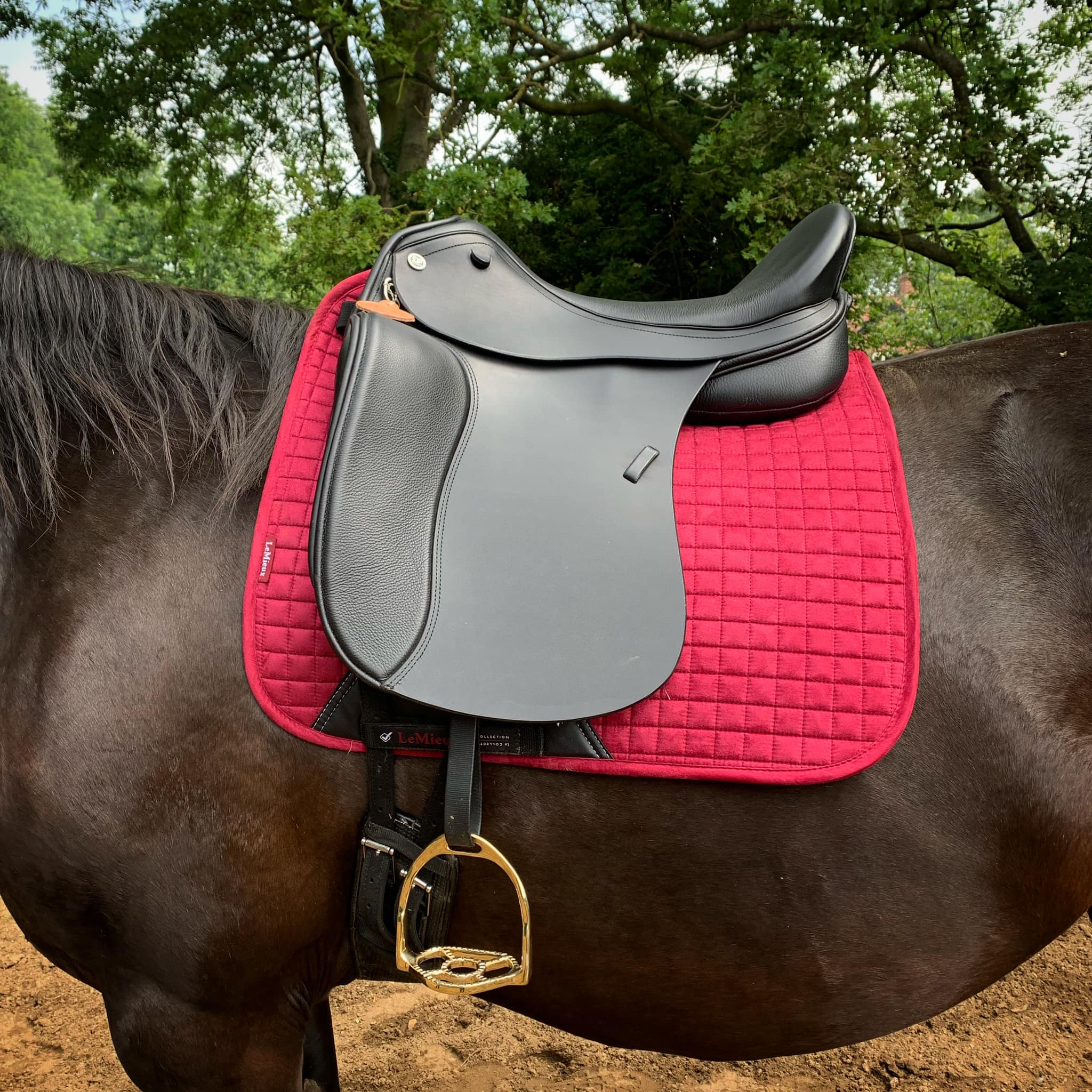 adjustable dressage saddle