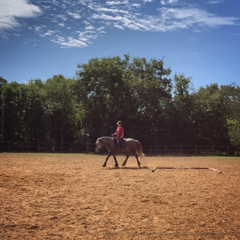 natural horsemanship