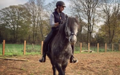 Natural Horsemanship – Why We Think it’s Just Good Horsemanship