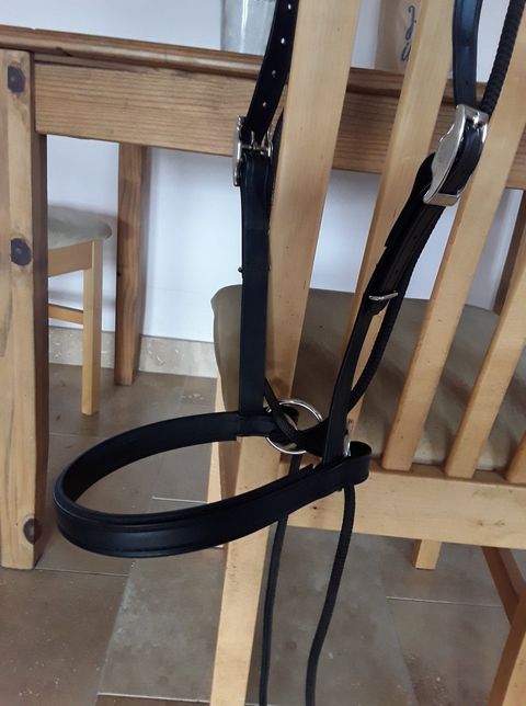 ultimate bitless bridle