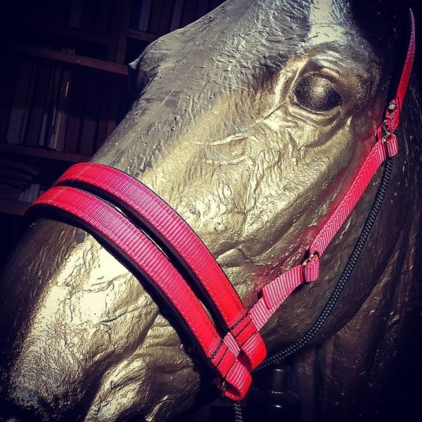 Ultimate Bitless Bridle - Image 4