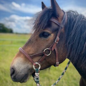 Deuber & Partner Soft Feel Baroque Sidepull Bitless Bridle